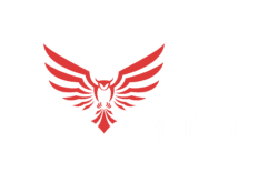 RojaTech Web Design Logo